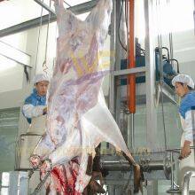 High Efficiency Cattle Slaughter Machine Beef Abattoir Equipment Slaughterhouse Hydraulic Cow Skinning Device thumbnail-4