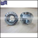 Din6923 Serrated Flange Hex Nut (DIN6923) thumbnail-6