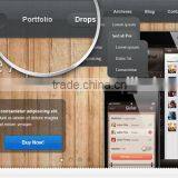 Professional Iphone Application Development