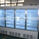 3M Commercial Upright Glass Door Freezer Showcase
