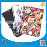 Customized Notebook, Characteristic Notebook, Funny Notebook thumbnail-3