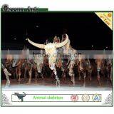 Customize Artificial Resin Animal Bones_Bull thumbnail-1