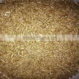 Overnight Oats Hulled Oats for Made Oatmeal thumbnail-3