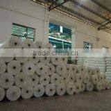 Sunshine Nonwoven Fabric & Clothes Co., Ltd.Quanzhou company overview - view 2 thumbnail