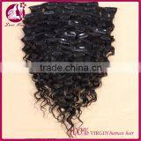 Deep Wave Clip In Human Hair Extensions 100g Full Head Brazilian Virgin Human Hair Clips Ins Extension African American thumbnail-2