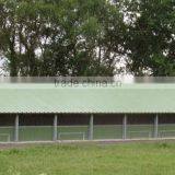 Low Cost Steel Frame Chicken House for Broilers thumbnail-6