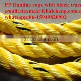 Yellow pp danline rope with black tracer