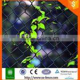 High Quality Galvanized Chain Link Fence/decorative Chain Link Fence Professional Factory (ISO 9001)