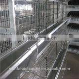 Competitive Prices Galvanized Chicken Coop for Broiler thumbnail-4