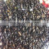 Ccd Camera Trichromatic Dried Fruit Color Sorter at Competitive Price