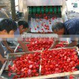 Sundried China Tomato Organic Sun Dried Tomatoes For Sell thumbnail-1