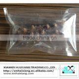 Fresh Sea Cucumber thumbnail-1