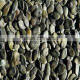 Pumpkin Kernels Pumpkin Seeds Snow White Pumpkin Kernels Shine Skin Pumpkin Kernels thumbnail-1