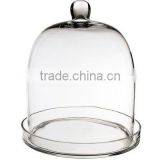 Glass Cloche Bell Jar, 16" Cloche Bell Plant Terrarium