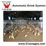 Drinkers for Chickens,automatic Drinker for Chicken thumbnail-3