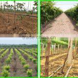 Top Selling Low Price Farm Drip Irrigation Pipe for Garden/forestry thumbnail-3