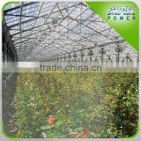 Aluminum Blade Circulation Fan CSA thumbnail-5