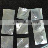 Polished White Mop Shell Chips