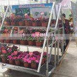 A10 Dutch Plant and Flower Display Cart Trolley thumbnail-2