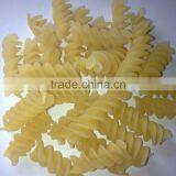 Macaroni Pasta Making Machine,macaroni Production Line,pasta Extruder Machine 0086 18678800276 thumbnail-1