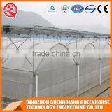 China Supplier Multi-span Plastic Film Agricultural Greenhouse for Sale thumbnail-5