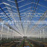 SP-V-96 Venlo Multi-Span Glass Greenhouse for Vegetables and Flowers thumbnail-1