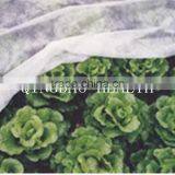 PP Mulch Fleece , Frost Protection Fleece (50g/m2) thumbnail-5