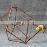 Home Design Clear Glass Terrarium Succulent Plants Greenhouses thumbnail-3