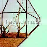 Minimalistic Decor Cuboctahedron Geometric Terrarium thumbnail-5