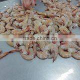 Frozen Pink HLSO thumbnail-3