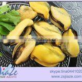 Mussel Meat 200/300 300/500