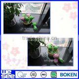 New Arrivals Frog Style Chinese thumbnail-1