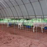 Livestock Shelter , Cattle Shed , Goat Shelter ,CAR SHELTER , STORAGE TENT thumbnail-4