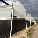 China Plastic Film Greenhouse Tunnel for Sale thumbnail-4