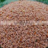 Psyllium Seed thumbnail-2