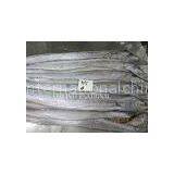 Ribbon Fish thumbnail-1