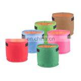 Hanging Green Felt Plant Bag thumbnail-6