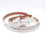 Amazon Best Selling Cute Polka Dot Pattern Bowknot Dog Collar and Leash Set thumbnail-3