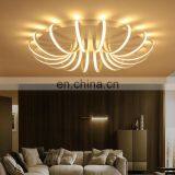 Simple Living Room Led Art Ceiling Lamp Study Lamp Nordic Creative Lighting thumbnail-2