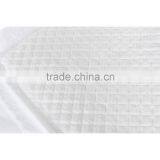 Piddle Pad Housebreaking Puppy Indoor Dog Potty