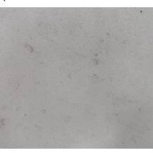Code：8033，Calacatta Artificial Stone Quartz Slab Kitchen Countertops thumbnail-2