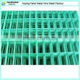 2x2 Pvc Coated Welded Wire Mesh for Sale( Hebei Supplier)