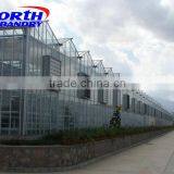 Commercial Greenhouse for Agriculture thumbnail-1