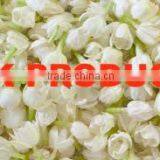 Natural Jasmine Essential Oil
