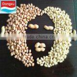 Chinese Particularly Peanut