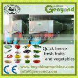 Spiral tunnel freezer/Blast freezer/Quick freezer