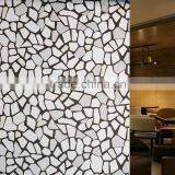 Smart Tinting Window Film From China