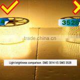 AC 220V LED Strip SMD 3014 240LED/M Warm White Waterproof IP67 100M/Roll With One Set Free AC Plug Cable Super Bright New thumbnail-4