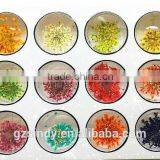 Stickers & Decals 3D Dry Flower, Mix 12 Color Decoration Real Dried Dry Flower for Nail Art Decoration ZX:GH744 thumbnail-4