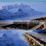 cold resistant conveyor belts used in frozen area/ cold storage